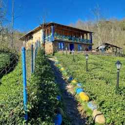 Shishaq Boom Residence