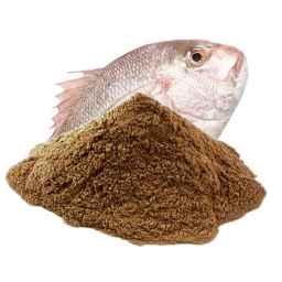 Sea Seed Company