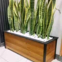 Garden Wood Collection