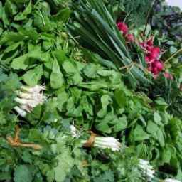 Radish store