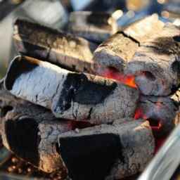 Radmehr coal