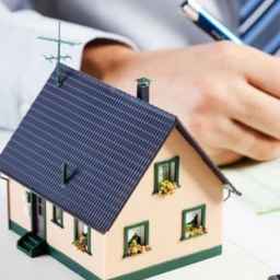 Amir real estate consultant