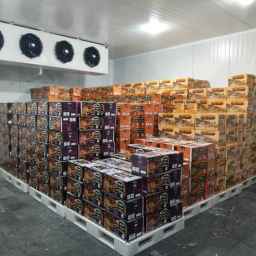 Falah dairy factory