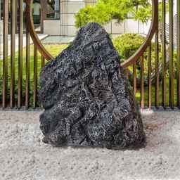 Roshana Gallery