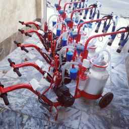 Saman industrial milking machine