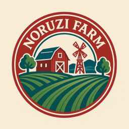 Norozi Anaokulu