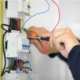 Electrician Jasmi