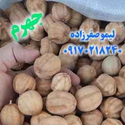Safarzadeh Trading
