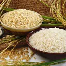 Mesmarian rice shop