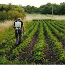 Irrigation agriculture services