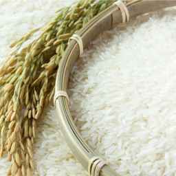Ifritzadeh Brothers Rice Milling Factory