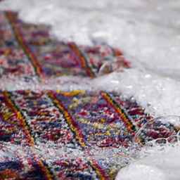 Rose carpet cleaning