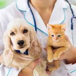Hirkana Veterinary Clinic