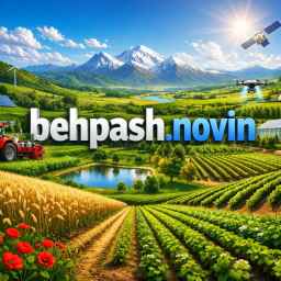 Behpash Navin