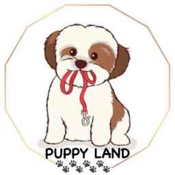 Poppy Land Pet Shop and Boarding House