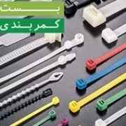 Frouzesh belt buckle agency in Tehran