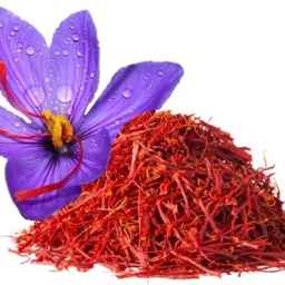 Supply and sale of bright saffron in Faruj, North Khorasan