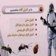 Basharat spraying service company in Ahvaz
