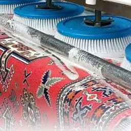 Almas carpet cleaning in Sari