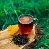 Gilan tea in Amlesh