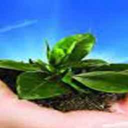 Sputa vermicompost in Urmia