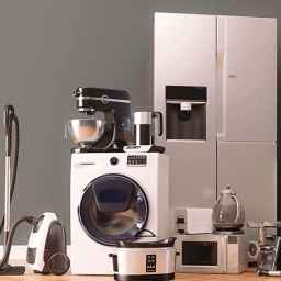 Selling Tokyo household appliances in Ganaveh port