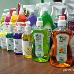 Sales representative of Taqvi detergents in Gonabad, Khorasan, Razavi