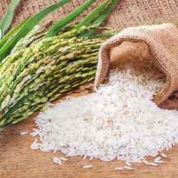 Mawarid rice milling and pearl rice milling factory selling Paliz brand rice in Talesh, Gilan