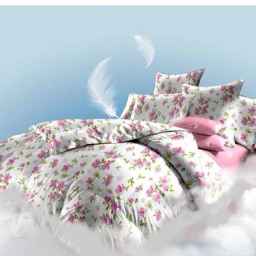 Selling all kinds of Avanaz sleep products in Yazd