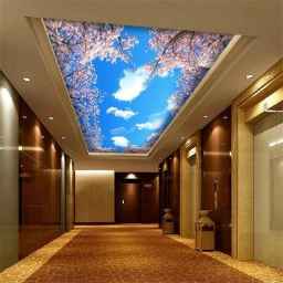 Design and interior decoration of the building, wall covering, floor covering, elastic ceiling, Khas Noori house in Sarkhes, Khorasan, Razavi
