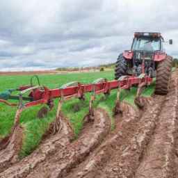 Production of Sorena agricultural tools in Rezen