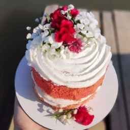 Ordering all kinds of homemade cakes and mini cakes from Elaine in Rasht