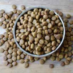 Food production for warm-water carp, Phytofak and Danso bighead fish in Tehran