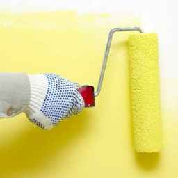 Implementation of painting and interior decoration of Amiratas in Rasht