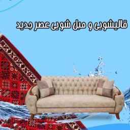 Turquoise carpet and sofa cleaning in Chalus