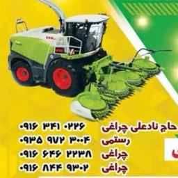Sale of corn, alfalfa, ready-to-eat animal silage, Taj Dane in Shush Khuzestan, in Shush Khuzestan Industrial City