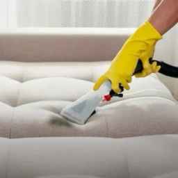 Pak Mehr carpet cleaning and furniture cleaning in the vineyard