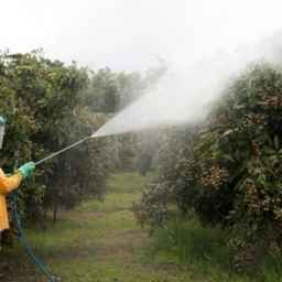 Giti Mehr Sabz Spraying Company in Yazd