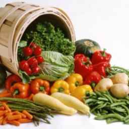 Trading trade and sale of dry and wet summer foods in Poyamahr in Khuzestan