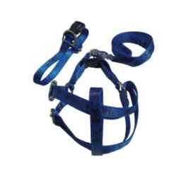 Production of collars and leashes in Ghorbanpur in Golestan