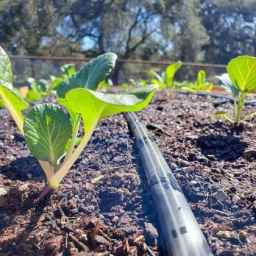 Sale of polyethylene pipes and irrigation tapes, the official representative of Polyran in Mashhad