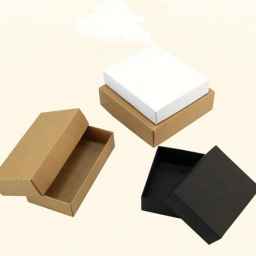 Factory for the production of cardboard and sanitary boxes in Shahrekord