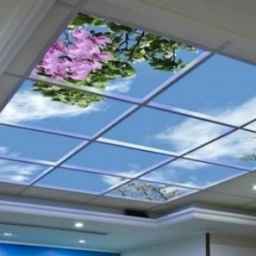 Performance of Knaf and the virtual sky of Knaf Ramsar Kakui