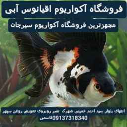 Sirjan Blue Ocean Aquarium Store in Sirjan