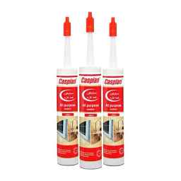Caspin Aghaei silicone adhesive sales representative in Tehran