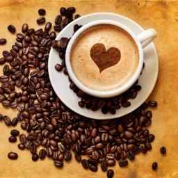 Selling Cafe Plus coffee in Rasht Gilan
