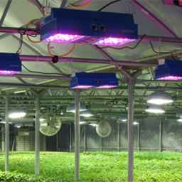 Brokerage and implementation of electricity for factories and greenhouses, Najaf Abad, Isfahan