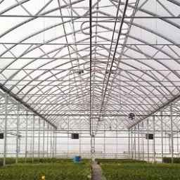 Buy and sell new and second-hand Dehghan greenhouse structures in Fars