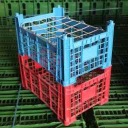Behin Plast Mohammadi fruit basket production factory in Fars