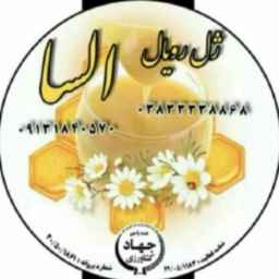 Royal Elsa Gel in Shahrekord Chaharmahal and Bakhtiari